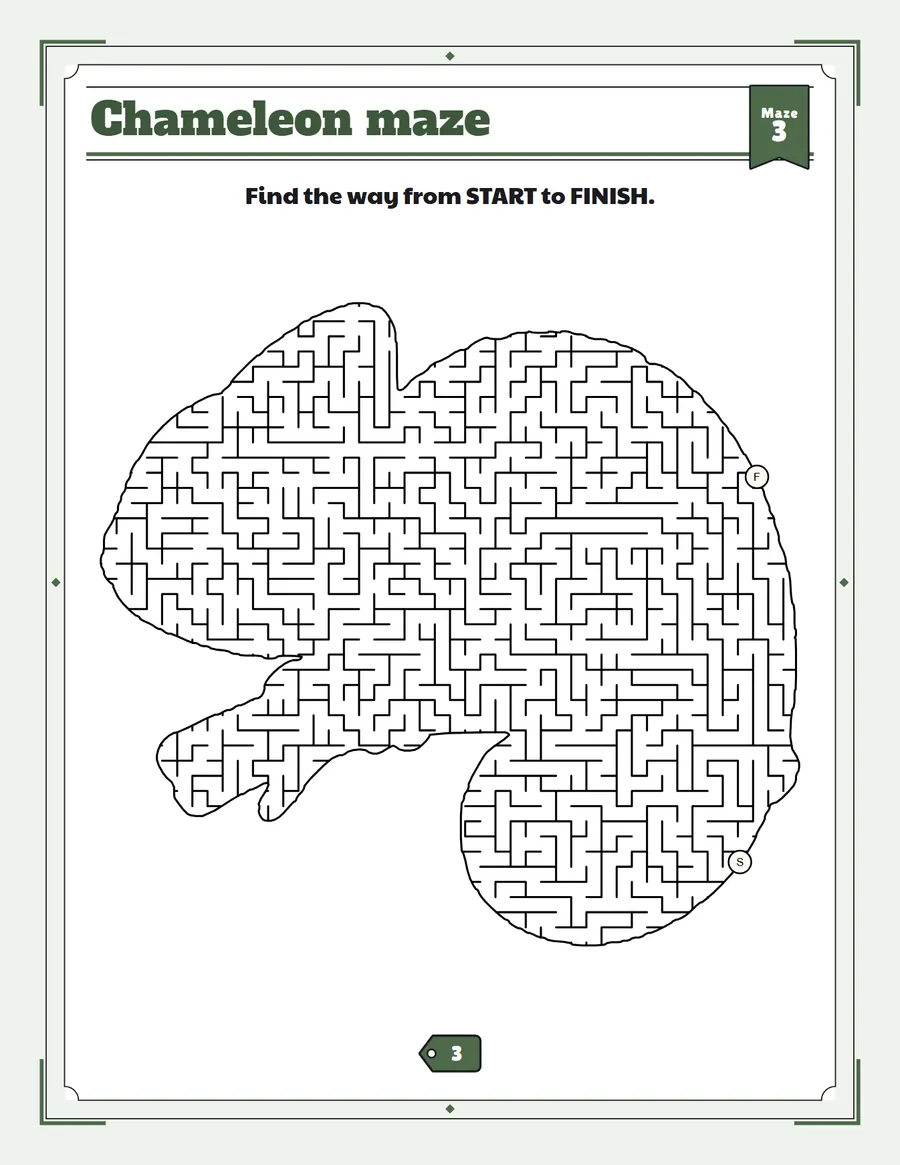 Chameleon maze printable: a extreme hard maze inside a chameleon shape