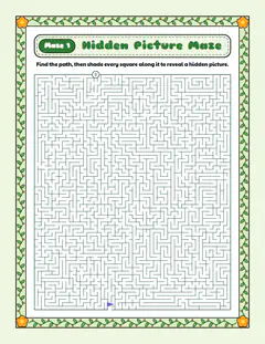 Orchid: Fine detail, a hidden picture maze